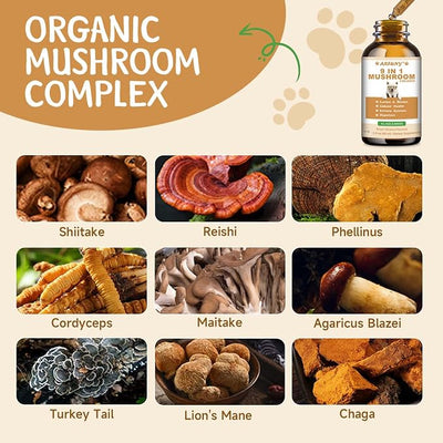 9 in 1 Mushroom Supplement for Dogs - Turkey Tail Mushroom for Dogs - Dog Lumps and Bumps Treatment - Digestive, Cellular, Immune Health Support - Reishi, Lions Mane, Shiitake - Roast Chicken Flavor