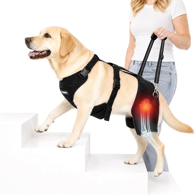 BALAPET BALAPET Dog Hip Brace Support Harness with Lift Handle, Adjustable Hip Support Brace for Large Dogs, Soft Removable Hip Pads, Mobility Assistance Harness for Walking, Stairs & Car Support(XXL)