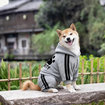 Dog Hoodie Security Clothes 4 Legs Jumpsuit Sweatshirt Hoodies Soft & Warm Dog Outfit Pullover Dog Winter Clothes Sweater for Small Medium Large Dogs Cats (Gray, X-Large)