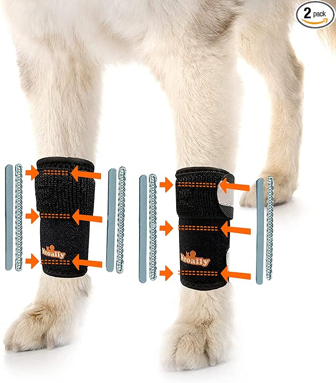 NeoAlly - 3-in-1 Dog Splint Front Leg Support, Front Leg Brace with Rigid and Spring Inserts, Dog Leg Sleeve for Pet Mobility, Stability, & Protection, With Reflective Straps, S-M, 1 Pair