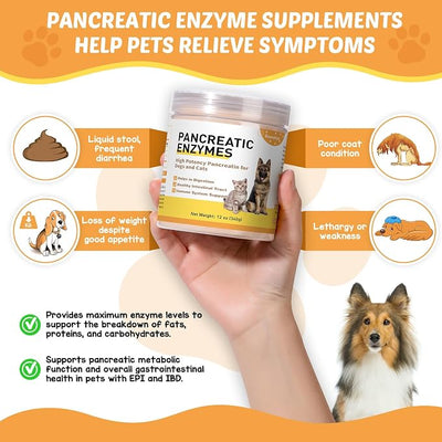 Pancreatic Enzymes for Dogs (12 oz) - 10x Pancreatin Enzyme Formula - Digestive Enzymes for Dogs EPI - Helps Restore Normal Weight, Relieve Pancreatic Problems and Digestive Stress
