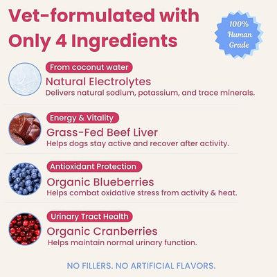 Dog Electrolytes – Hydration Support for Heat, Travel & Exercise – Helps Prevent Dehydration & Encourage Drinking – Water Flavor Enhancer with Electrolytes for Dogs, 12 Sticks