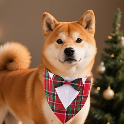 ADOGGYGO Christmas Dog Tuxedo Bandana, Red Green Plaid Pet Xmas Collar with Bow, Adjustable Christmas Costume for Medium Dogs (M)