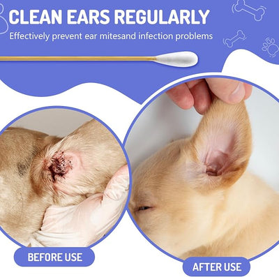 200PCS Large Cotton Swabs in Storage Box, 6 Inch Dog Ear Swabs with Bamboo Handle for Dogs - Soft Cotton, Gentle and Lint-Free, Specially Designed for Dogs (Large)