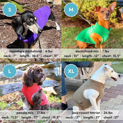 Gooby Every Day Fleece Cold Weather Dog Vest for Small Dogs, Blue, Large