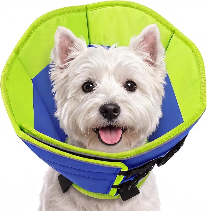 AOFITEE Dog Cones for Medium Dogs, Soft Dog Cone Collar After Surgery, Adjustable Cone for Dogs to Stop Licking with Adjustable Buckle, Pet E-Collar Alternative for Wound Healing(Bluegreen,Medium)