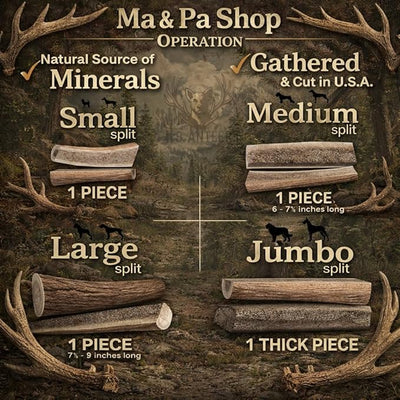 Elk Antlers for Dogs – Small Split (4-6 Inch), Irresistible Chew, USA Sourced, Naturally Shed & Ethically Harvested