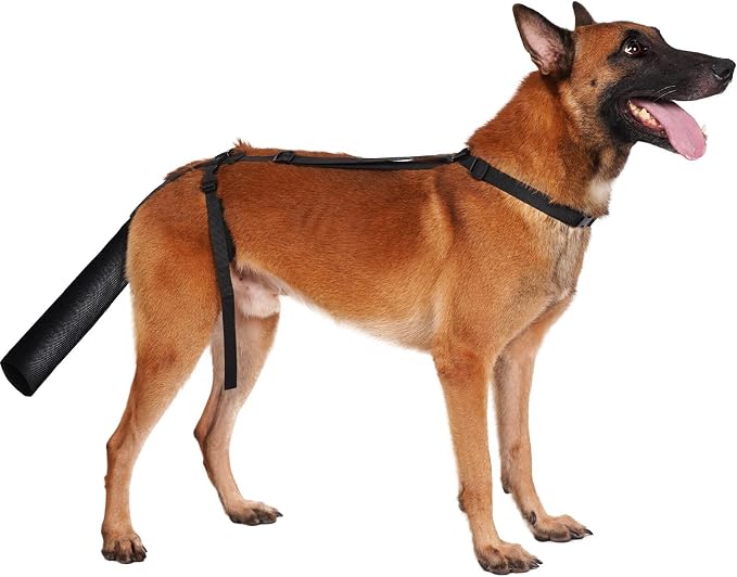 BARKLESS Dog Tail Protector, Dog Tail Guard for Medium Large Dogs, Adjustable Cover to Prevents Licking Wounds, Breathable Tail End Bag for Recovery (Black, L)