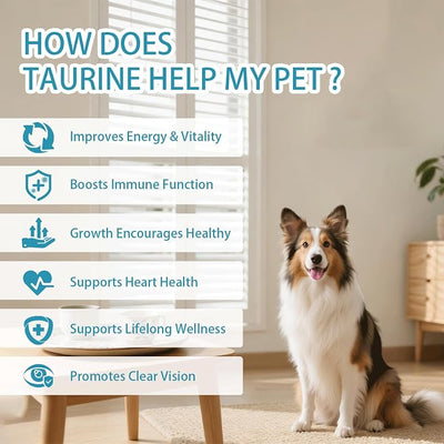 Doggy Supps Taurine, Taurine Powder for Dogs, Promotes Energy, Vitality & Shiny Coat, Easy-to-Serve Formula, 200 Grams
