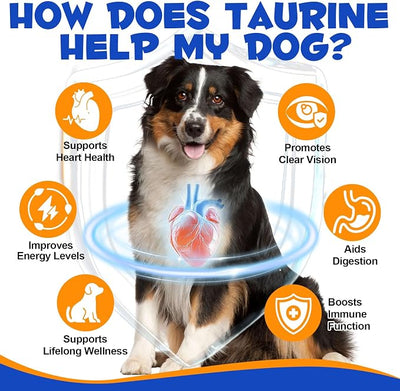 Taurine Powder for Dogs,Pure Taurine Supplement for Heart & Vision Health, Skin & Coat, Boosts Energy & Daily Wellness,7.05 oz/200 Grams
