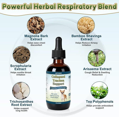 Collapsed Trachea Support for Dogs, Support Tracheal & Respiratory Health, Trachea Cough Elixir, Airway & Throat Comfort Drops for Small Breeds, Dogs Dry Hacking Cough Relief, Herbal Formula 2 fl oz