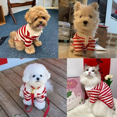 MANON ROSA Dog Clothes, Designer Boy Polo Shirt for Small Medium Dogs, Soft Puppy Outfit, Breathable Male Yorkie Chihuahua Shih Tzu Poodle Kitten Cat T-Shirt, Birthday Gifts - Red, XS, Fit 1-3lbs
