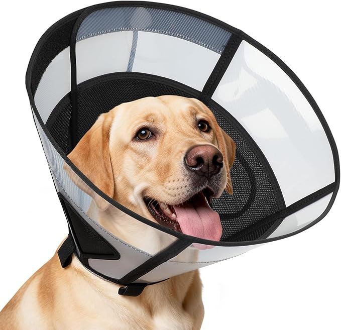 Soft Dog Cone Collar for Large Dogs, Mesh Windows Transparent E Collar for Dog, Anti-Bite Lick Wound Healing After Surgery Neuter Safety Practical Comfy Plastic Cone (Black, L)
