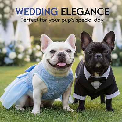 ASENKU Dog Dress Pet Wedding Dress Princess Lace Puppy Birthday Party Outfit Formal Apparel Girl for Small Medium Dogs Cats (XL, Blue)