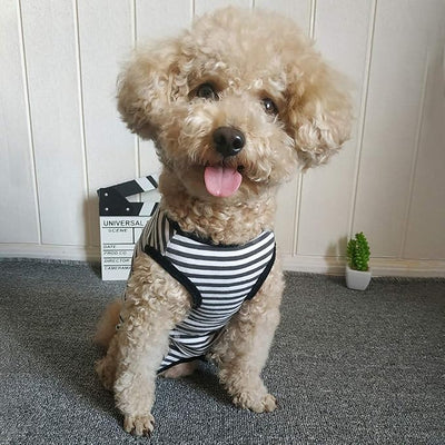 Dog’s Recovery Suit Post Surgery Shirt for Puppy, Wound Protective Clothes for Little Animals(Black White Stripe-XL)