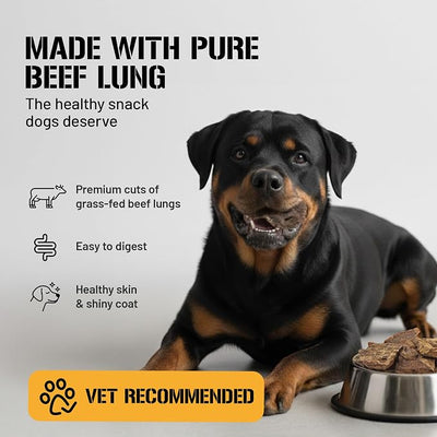 Dog Chits Beef Lung Fillets Dog and Puppy Treats – All Natural Chews for Dogs – Grain-Free, High-Protein, Low Fat Single Ingredient Dog Treat – Ideal for All Dogs – Large, 10 oz – Made in USA