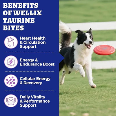 Wellix 9.17 oz, 25% Taurine for Dogs - Healthy Heart Supplements for Dog Chewable with CoQ10, Fish Oil, Vitamins, L-Carnitine - Heart Muscle Function & Cardiovascular Health, Antioxidant Support