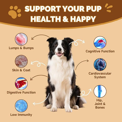 2-Pack Mushroom Supplement for Dogs - Turkey Tail Mushroom for Dogs Lumps, Bumps, Gut, Skin, Joint, Immune Health - 13 Organic Mushrooms Turkey Tail, Reishi, Lions Mane, Glucosamine, MSM, Vitamins