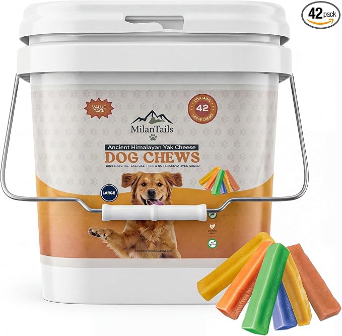Premium Natural Fruit-Flavored Himalayan Yak Chew for Dogs, All-Natural, Long-Lasting (Large 42 Pack Bucket, Assorted(Blueberry,Strawberry,Original,Mint,Pumpkin,Turmeric))