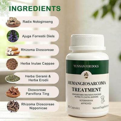 Yunnan Sanqi Capsules for Dogs, Herbal Quick Stop Bleeding, Blood Support for Hemangiosarcoma, Hemoabdomen, Cancer Bleeding, Pericardial Effusion, Ulcer-Related Bleeding, Bloody Stools - 90 Capsules
