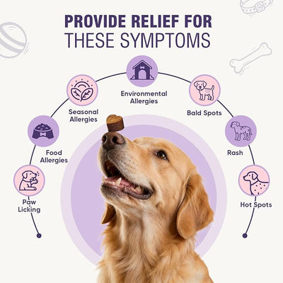 Dog Allergy Chews 200ct - Dog Allergy and Itching Skin Relief Anti Itch Aller Immune Bites for Dogs licking Paws Treatment Relief Itchy Chew Probiotics Vitamins for Skin and Coat Allergies - Chicken