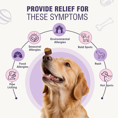 Dog Allergy Chews 200ct - Dog Allergy and Itching Skin Relief Anti Itch Aller Immune Bites for Dogs licking Paws Treatment Relief Itchy Chew Probiotics Vitamins for Skin and Coat - Peanut Butter