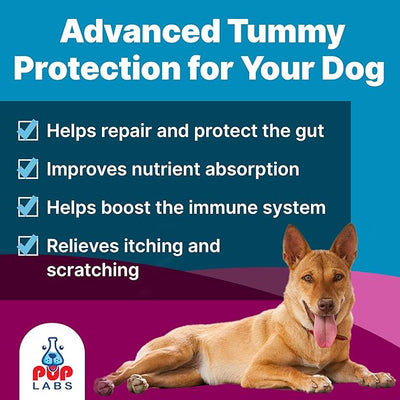 Pup Labs K9 Belly Bliss, All-Natural Gut Health for Dogs, Vet Approved Prebiotic for Dogs for Daily Digestive Support & Dog Constipation Relief, Topper for Dry & Wet Food, 6 Pack with 30 Scoops Each.