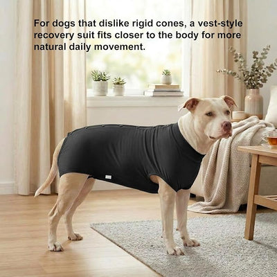 LovinPet Dog Recovery Suit, Snap-Back Post-Op Onesie for Large Dogs, Post-Spay Bodysuit for Female Dogs with Cushioned Belly Panel, Black, L