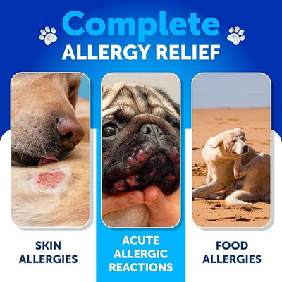 Dog Allergy Relief Chews - Itching Skin Relief for Dogs - 180 Soft Treats - Fish Oil - Omega 3 - Seasonal Allergies Pills - Skin & Coat, Anti Itch,Hot Spots Treatment - Canine Immune Health Supplement