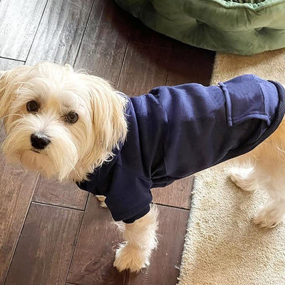 Jecikelon Soft Dog Hoodies for Small Dogs, Fleece Puppy Sweatshirt with Pockets, Warm Winter Cold Weather Coats for Pet Cat, Cute Clothes Puppy Costume (Navy, X-Small)