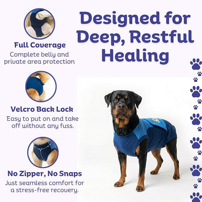 Surgi Snuggly Dog Surgery Recovery Suit - Dog Onesie for Post Surgery Recovery, Female Spay & Male Neuter - Surgical Suit for Dogs, E-Collar Cone Alternative, Double Blue - 2XL Small - 28" - 32" (EC)