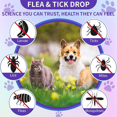 WEALLIN Flea and Tick Prevention Support for Cats and Dogs Natural Flea Treatment Drops with Multivitamin for Pets Oral Natural Supplement Flea and Tick Treatment Drops for All Breeds and Ages