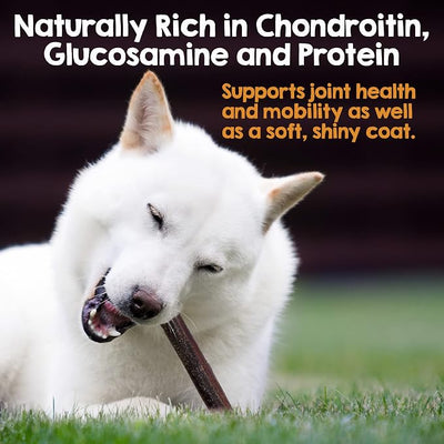 Riley's 12 Inch Beef Collagen Sticks for Dogs, Collagen Chews for Dogs, Bully Stick & Rawhide Alternative, Long Lasting, No Raw Hide Chews, Single Ingredient Dog Treat- 10 ct