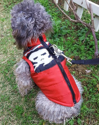 Winter Waterproof Windproof Dog Jacket - Warm Coat for Small Medium Dogs, Cold Weather - Red/White XXS