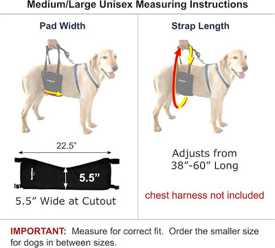 GINGERLEAD Dog Rear Support Sling Harness, M/LG Unisex with Cutout Fits Male & Female Dogs. Padded Hip Lifting Aid Helps Old Pets Walk, K9s Recover from TPLO Surgery. Integrated Leash. Made in U.S.A.