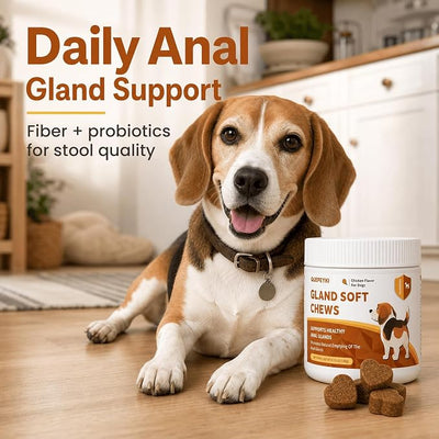 Anal Gland Supplement for Dogs, 90 Chicken Soft Chews | 800M CFU probiotics with pumpkin seed, psyllium husk, carrot and inulin for daily stool quality support