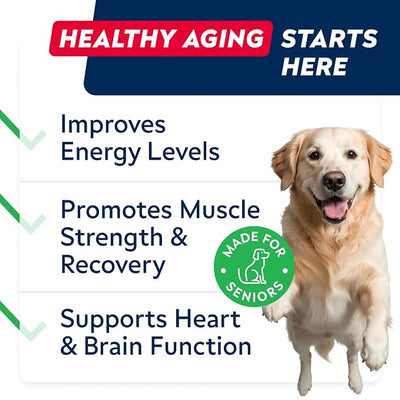 STRELLALAB NMN Supplement | NAD+ Longevity for Dogs - Quercetin, Resveratrol - Energy Boost for Senior Dogs, Canine Cognitive Supplement for Brain Health - Anti Aging Support Chews - 90Ct