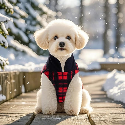 Rbenxia 1 PC Plaid Dog Sweaters with Leash Ring Soft Fleece Vest Dogs Pullover Warm Jacket Pet Dogs Clothes Winter Dog Outfits for Small Puppy Cat Pets (Black and Red, Small)