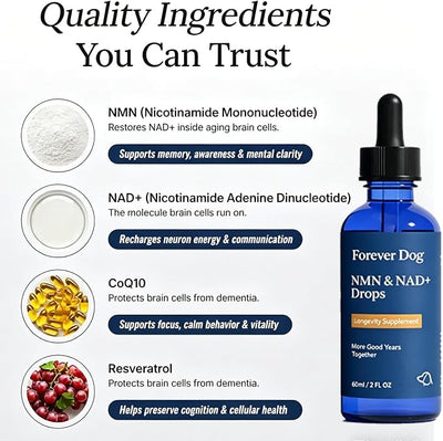 NAD+ Formula, Cognitive Supplement for Senior Dogs, Helps Support Memory, Presence & Awareness