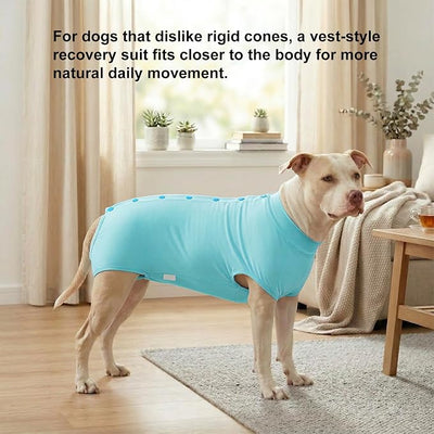 LovinPet Dog Recovery Suit, Easy Snap-Back Cover for Large Dogs, Bodysuit for Female Dogs, Solid-Color Surgery Suit with Cushioned Belly Panel, Green, XL