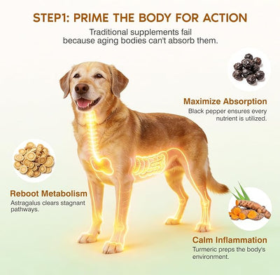 Turkey Tail Mushroom for Dogs,Senior Dog Supplement for Lumps, Bumps & Lipoma,Soft Chews with Reishi, Maitake, Turmeric & Astragalus,Supports Immune Health,Natural Chicken Flavor, 120 Count