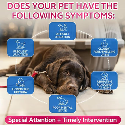 WEALLIN Cat & Dog Natural Urinary Tract Infection Treatment with Cranberry, Kidney, and Bladder Support Supplement, Support for Urinary Comfort & Bladder Flow – Pet Renal Care Support Drops