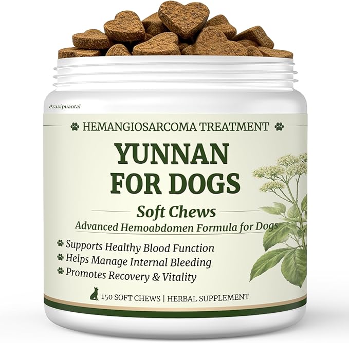 Herbal Yunnan Sanqi Soft Chews for Dogs, Stop Bleeding & Blood Builder for Hemangiosarcoma, Hemoabdomen, Cancer Bleeding, Kidney - Safe Daily Support for Long - Term Care, Boosts Vitality&Energy-150ct