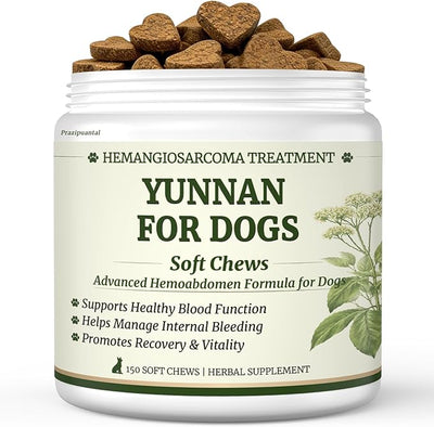 Herbal Yunnan Sanqi Soft Chews for Dogs, Stop Bleeding & Blood Builder for Hemangiosarcoma, Hemoabdomen, Cancer Bleeding, Kidney - Safe Daily Support for Long - Term Care, Boosts Vitality&Energy-150ct