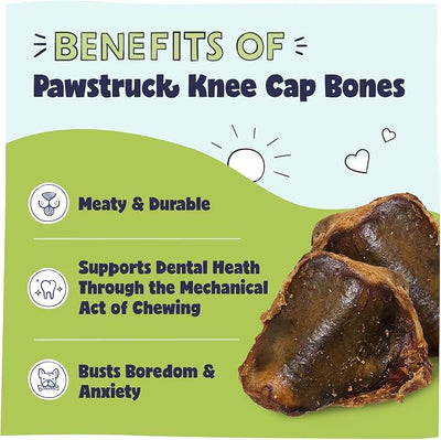 Pawstruck Natural Knee Cap Dog Bones - Treats for Aggressive Chewers, Low Fat & High Protein Chews, Beef Flavor, Long-Lasting Rawhide Alternatives - 20 Pack, Packaging May Vary