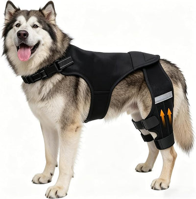 Dog Knee Braces for Torn ACL Hind Leg, Adjustable Dog Leg Braces for Back Leg with 4 Stabilizers for Luxating Patella Relieves Ligament Injury and Joint Pains