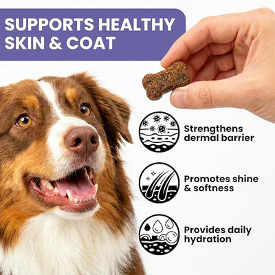 Skin & Coat Supplement for Dogs - Omega 3 6 9 Fish Oil & Vitamin E Soft Chews - Dog Itch Relief, Anti-Shedding & Shiny Coat Support for All Breeds, 90 Count