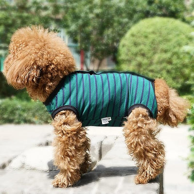 Dog’s Recovery Suit Post Surgery Shirt for Puppy, Wound Protective Clothes for Little Animals(Green Black Stripe-s)