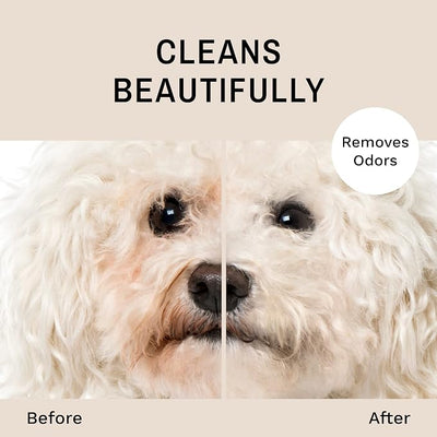 Eye Envy Tear Stain Facial Cleanser for Dogs and Cats. Washes Away Crusty Eye Debris, Eye Boogers, Eye Discharge. Tearless Foaming Formula. Cleans Tear Stains. All-Natural. 8.45 fl. oz.