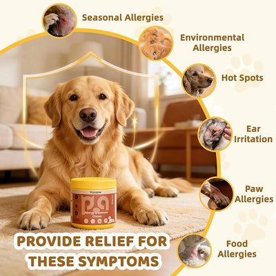 Dog Allergy Relief Chews: Anti-Itch Probiotics for Paw Licking, Seasonal Allergies & Skin Allergy - Dog Allergy Itching Skin Relief & Immune Support with MSM & Turmeric - Chicken Flavor